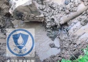 青山湖区水管漏水检测公司5